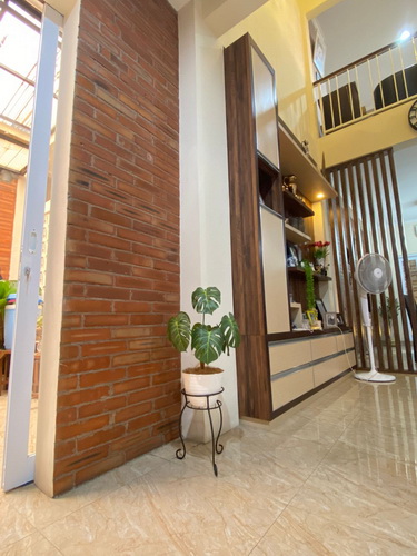 Pohon Monstera (3)_res