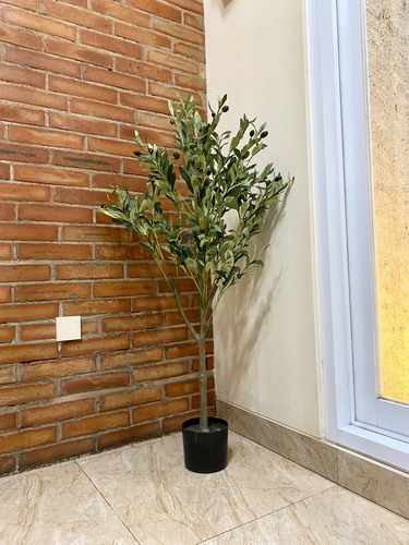 Pohon Monstera (5)_res