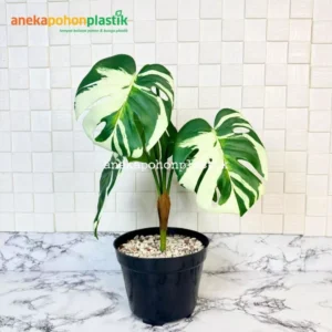 Pohon Artificial Monstera Variegata X5 Latex Juntai Pot Dasar Hitam