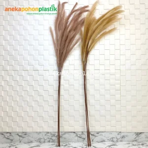 Bunga Kering Rustik Pampas Grass Dried Flowers Dekorasi