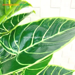 Pohon Artificial Alocasia X18 Latex Pot Dasar Hitam
