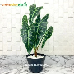 Pohon Artificial Keladi Amazon Tengkorak X7 Latex Pot Dasar Hitam